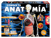 Juegos Educa - Conoce tu anatomía (Educa 14680)