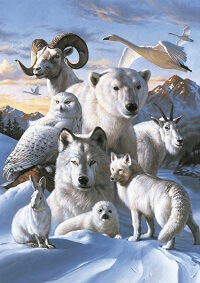 Puzzles Educa : 1000 - 1000 Animales Polares (Educa 12443)