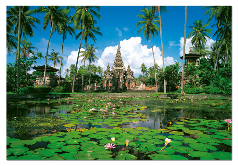 Puzzles Educa - 1000 : Denpasar, Bali, Indonesia (Educa 13056))