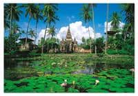 Puzzles Educa : 1000 - 1000 Denpasar, Bali, Indonesia (Educa 13056)