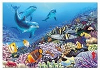 Puzzles Educa : 1000 - 1000 Compañeros de arrecife (Educa 14437)