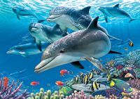 Puzzles Educa : 1500 - 1500 Paraiso Bajo el Mar (Educa 11750)