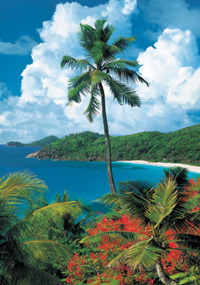 Puzzles Educa : 1500 - 1500 Isla de Mahe, Seychelles (Educa 12018)