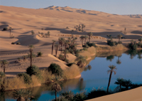 Puzzles Educa : 1500 - 1500 Oasis (Educa 12448)