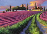 Puzzles Educa : 1500 - 1500 Campo de Lavanda (Educa 12740)