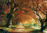 Puzzles Educa : 2000 - 2000 Paseo Otoñal (Educa 14819)