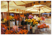 Puzzles Educa - 3000 Campo de fiori, Jam McLaufhlin (Educa 14449)