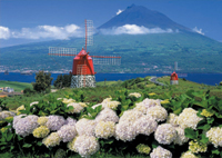 Puzzles Educa : 500 - 500 Faial, Las Azores, Portugal (Educa 12014)