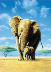 Puzzles Educa : 500 - 500 Elefantes (Educa 12728)