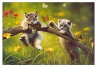 Puzzles Educa : 500 - 500 Gatitolandia (Educa 13413)