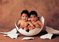 Puzzles Educa : Anne Geddes - 500 Double Yolker (Educa 11766)