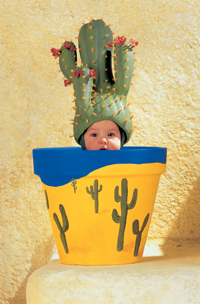 Puzzles Educa : Anne Geddes - 1000 Miniature Cactus Pot (Educa 11770)