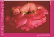 Puzzles Educa : Anne Geddes - 500 Ruby Kenyon (Educa 12932)