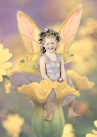 Puzzles Educa : Flitterbyes - 500 Darling Dandelion (Educa 11782)