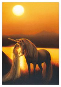 Puzzles Educa : 500 - 500 Noche Encantada, Kirk Reinert (Educa 13411)