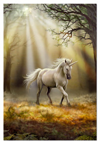 Puzzles Educa - 1000 Unicornio, Anne Stokes (Educa 14436)