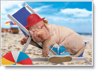 Puzzles Infantiles - 200 Siesta (Educa 11718)