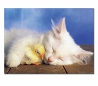 Puzzles Infantiles - 100 Dulces sueños (Educa 13089)