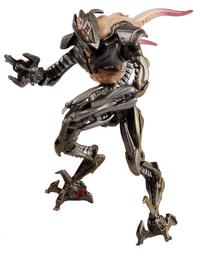GameStars : Crysis 2